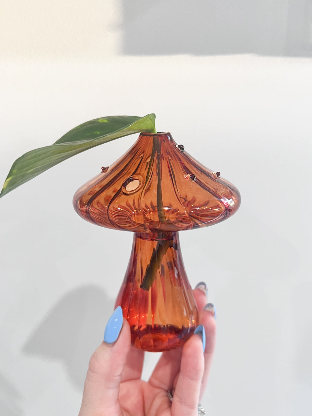 Mushroom Propagation Vase