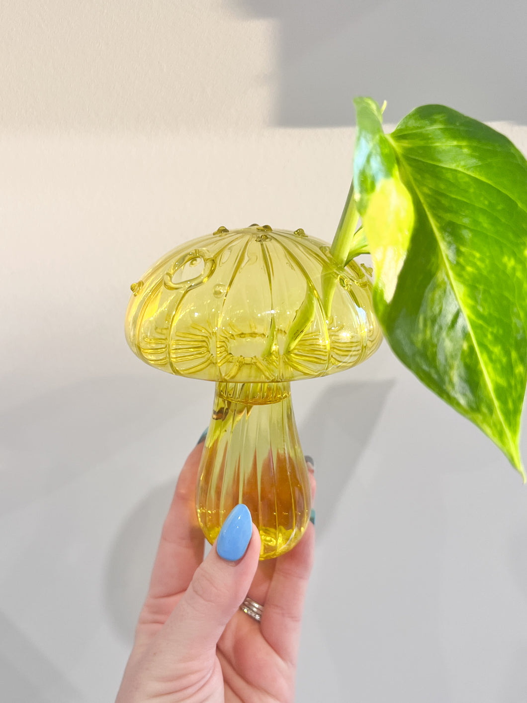 Mushroom Propagation Vase