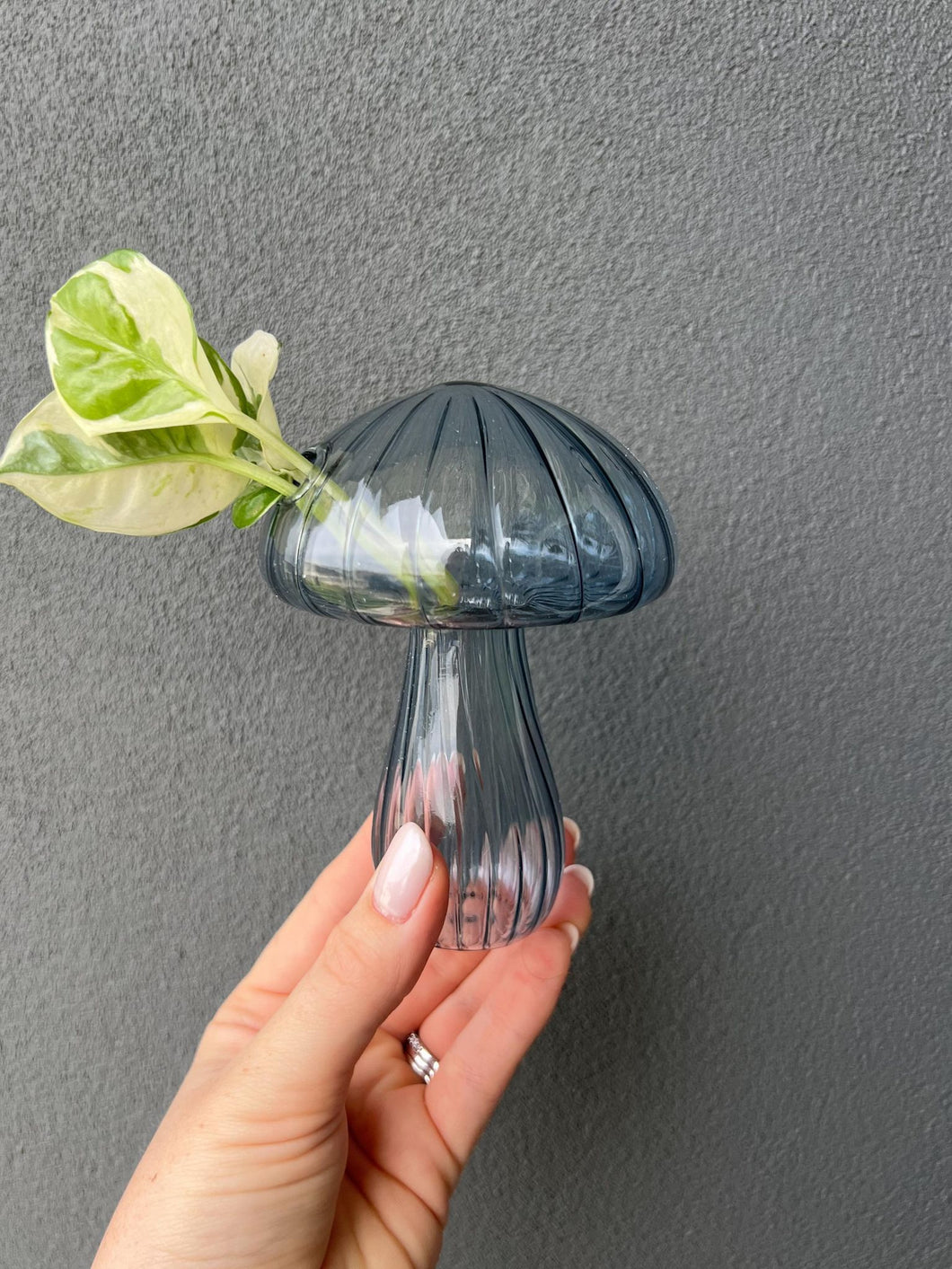 Mushroom Propagation Vase  - Blue