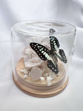 Load image into Gallery viewer, Geode Butterfly Dome
