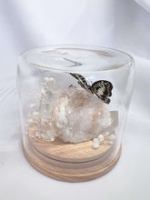 Load image into Gallery viewer, Geode Butterfly Dome
