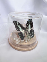 Load image into Gallery viewer, Geode Butterfly Dome
